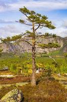 paysage à nissedal, norvège photo