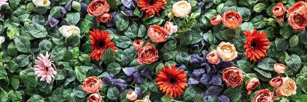 fond de chrysanthèmes rouges artificiels de printemps et de roses de pivoine dans le jardin. printemps. mur fleuri.banner photo