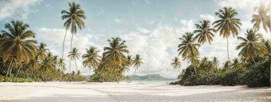 magnifique tropical plage bannière. blanc le sable et coco paumes Voyage tourisme large panorama Contexte concept. incroyable plage paysage. ai généré photo