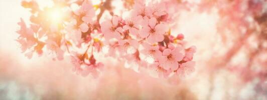 printemps frontière ou Contexte art avec rose fleurir. magnifique la nature scène avec épanouissement arbre et Soleil éclater. ai généré photo