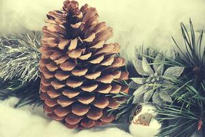 élégant Noël décoration avec neige cônes et vert pin brindilles, photo