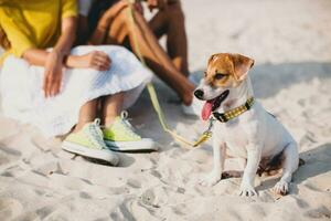 Jeune élégant branché couple dans l'amour en jouant chien photo