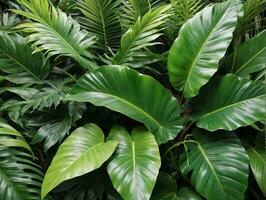 une proche en haut de une vert plante avec beaucoup de feuilles. ai généré photo