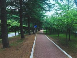 sentier pédestre dans le parc de la ville de sokcho, corée du sud photo