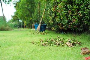 Gros plan pile de feuilles séchées avec balai et panier de noix de coco floue en arrière-plan photo