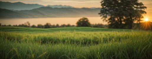 vert herbe avec le coucher du soleil vues.. ai généré photo