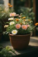 fleur la nature jardin botanique Marguerite Floraison pot. ai généré photo