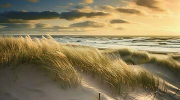 été sablonneux paysage de dunes côtier ai généré photo