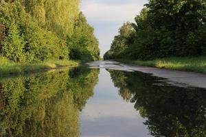 beau paysage d'été. flaques d'eau en miroir. photo