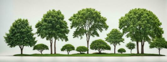 ensemble de vert des arbres isolé sur blanc Contexte. différent sortes de arbre collection. ai généré photo