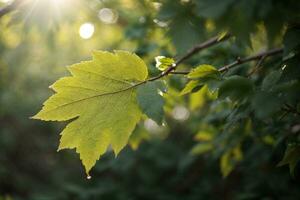 feuille. ai généré photo