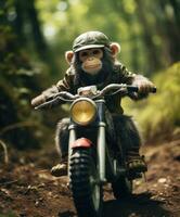 une chimpanzé sur une mini-vélo équitation par une forêt photo