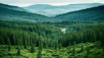 la nature russe taïga clairières ai généré photo