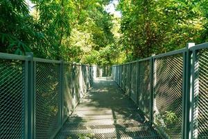 Chemin de promenade dans la forêt à la canopée promenades au jardin botanique de la reine sirikit à Chiang Mai, Thaïlande photo