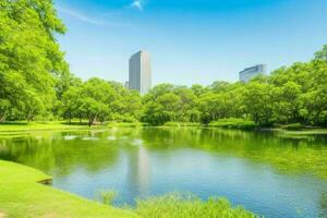 magnifique paysage parc avec des arbres et Soleil. coloré feuillage dans le parc. pro photo