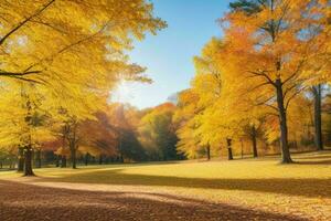 magnifique paysage parc avec des arbres et Soleil. coloré feuillage dans le parc. pro photo