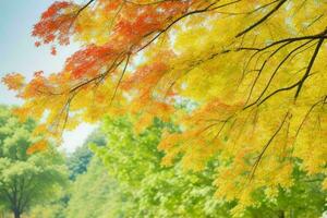 Terre journée et monde environnement jour, magnifique feuilles. pro photo