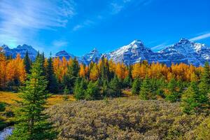 banff nationale parc pendant l'automne, alberta Canada photo