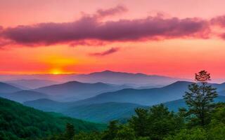 parc national des Great Smoky Mountains photo