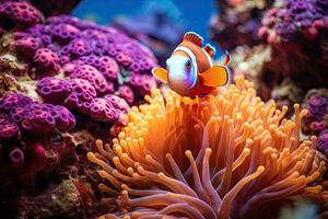 pitre poisson clown dans le mer anémone, poisson clown nager parmi le vibrant coraux, ai généré photo