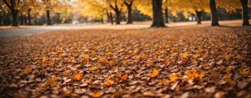 magnifique l'automne paysage avec. coloré feuillage dans le parc. chute feuilles Naturel Contexte. ai généré photo