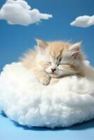 une endormir chaton recourbé sur une nuage oreiller isolé sur une blanc Contexte photo