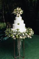 gâteau éponge de mariage festif avec crème glacée blanche