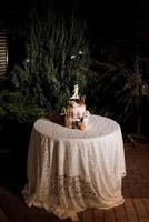 Gâteau de mariage sur un banc en bois sur fond de cascade photo