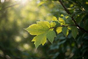 feuille. ai généré photo