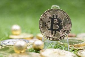 le bitcoin est sur fond vert photo