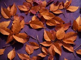 modèle de sec Orange métallique feuilles sur violet Contexte. ai généré photo