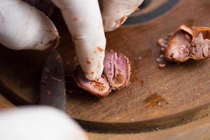 choisir des fèves de cacao crues avec la main de l'homme photo