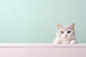 mignonne blanc chat séance avec une vert Contexte magnifique ai génératif photo