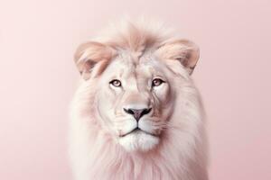 Lion sur pastel Couleur Contexte minimaliste ai génératif photo