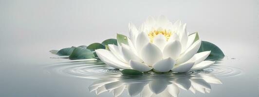 Zen fleur lotus dans l'eau. ai généré photo