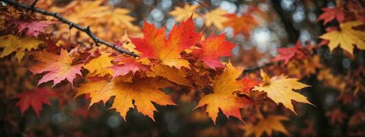 coloré l'automne érable feuilles sur une arbre branche. ai généré photo