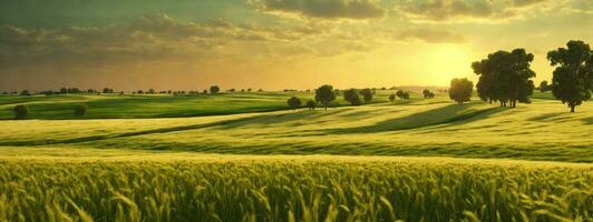 rural paysage avec blé champ sur le coucher du soleil. ai généré photo