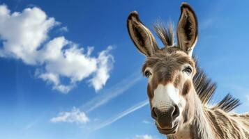 photo de une zonkey en dessous de bleu ciel. génératif ai