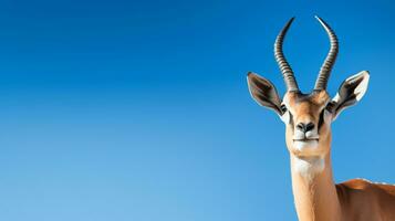 photo de une gazelle en dessous de bleu ciel. génératif ai