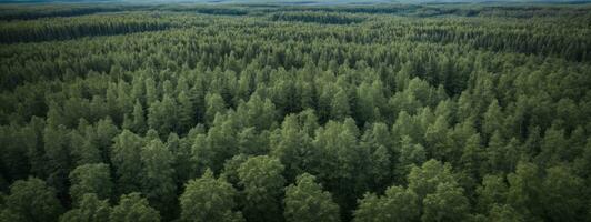 aérien Haut vue de été vert des arbres dans forêt dans rural Finlande.. ai généré photo