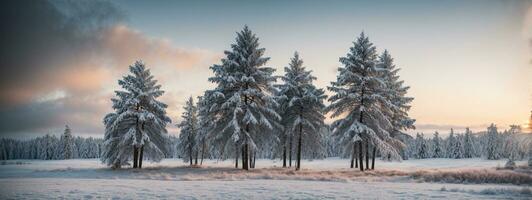 pin des arbres couvert avec neige sur glacial soir. magnifique hiver panorama. ai généré photo