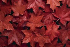 du vin rouge l'automne feuilles texture, tomber la nature arrière-plan, ai génératif photo