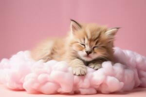 une espiègle chaton sieste sur une duveteux nuage lit isolé sur une rose pente Contexte photo