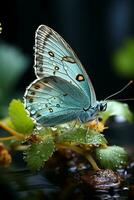 papillon sur vert herbe. ai génératif photo