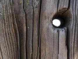 beau tronc d'arbre sec naturel avec trou. background.wood en bois texture photo