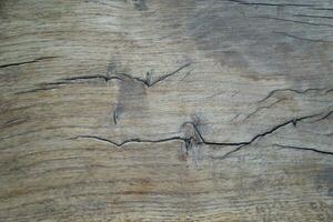 bois texture avec fissuré surface photo
