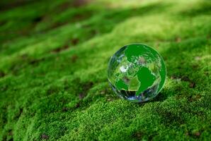 cristal Balle sur mousse dans vert forêt. environnement concept écologie et durable environnement de le monde. Terre journée concept. photo