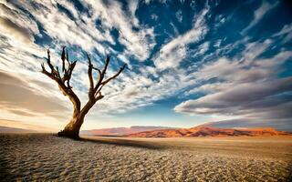 solitaire sentinelle, une captivant portrait de une seul arbre au milieu de le expansif embrasse de le désert région sauvage. ai généré photo