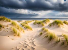 sablonneux plage et dunes près le mer photo