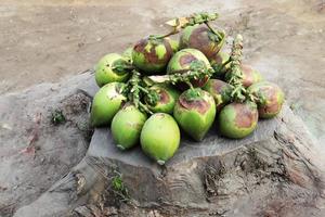 bouillon de noix de coco crue de couleur verte photo